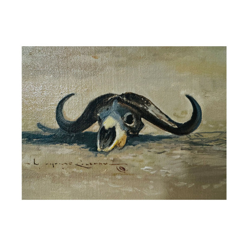 Cape Buffalo - Oil on linen